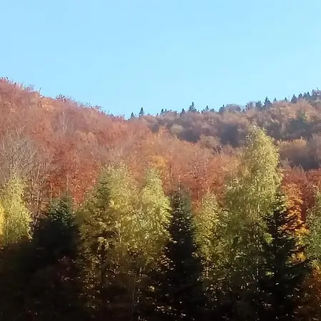 Joga Leskowiec * Andrychów